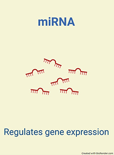 Biomarker Mirna Schema